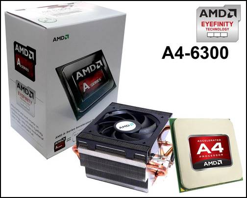 1. Processor AMD A4-6300 dual core